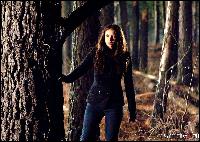  (1000x708, 196 k...)