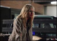  (1000x724, 112 k...)