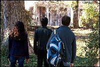  (1000x667, 251 k...)