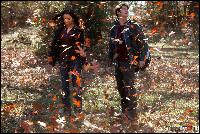  (1000x667, 248 k...)