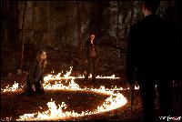  (1500x1000, 259 k...)