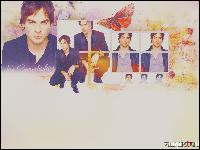  (1024x768, 530 k...)