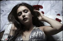  (1262x823, 181 k...)