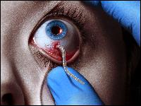  (1600x1200, 607 k...)