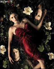  (792x1000, 177 k...)